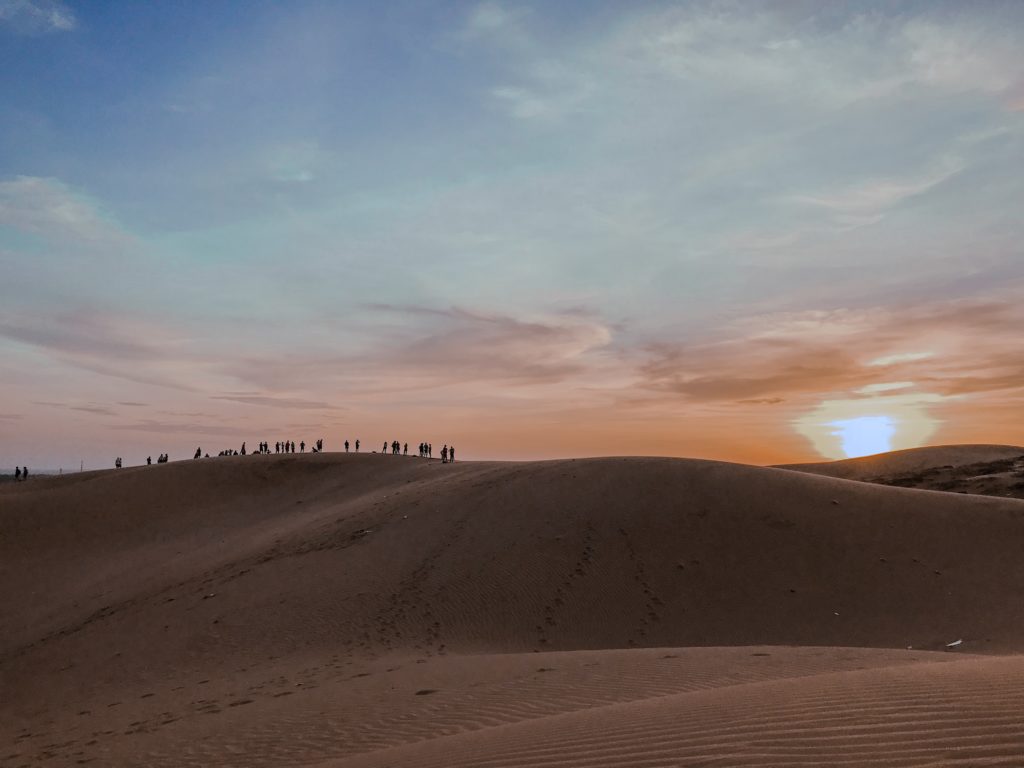 Red Sand Dunes